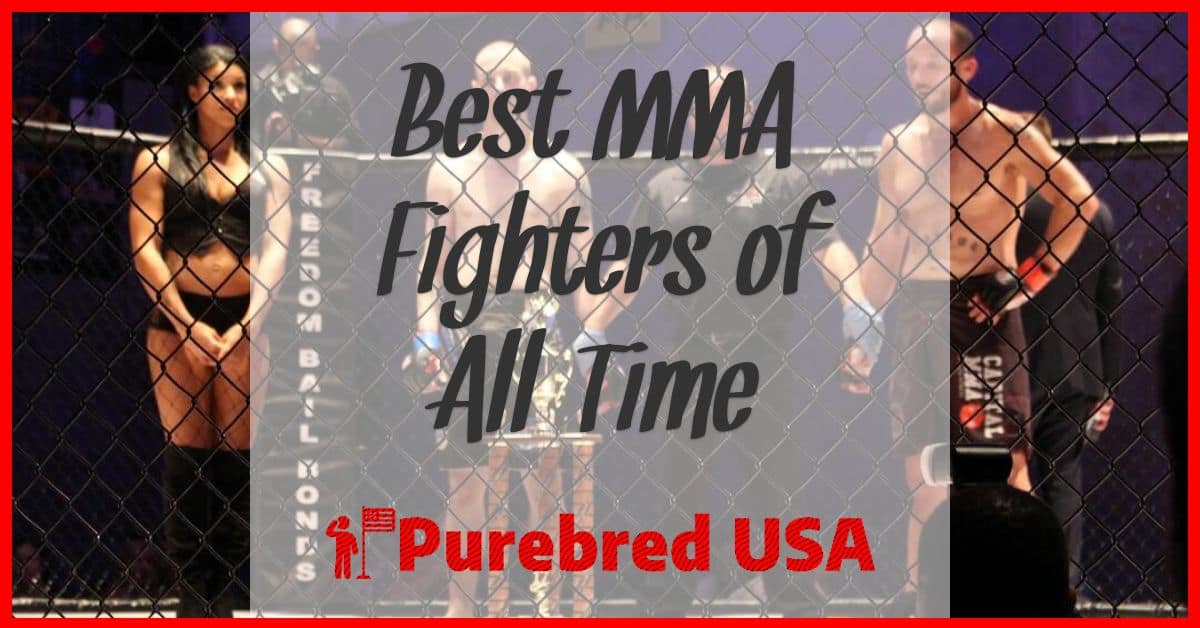 best mma fighters all time