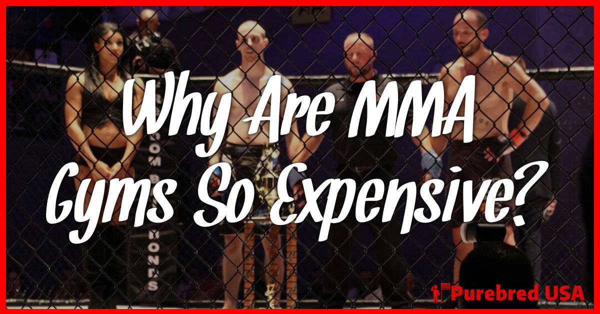 Why Are MMA Gyms So Expensive?